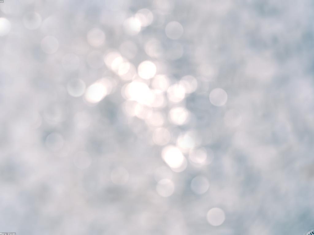 ការប្រើប្រាស់សម្ភារៈនិងឧបករណ៍ក្នុងការងារ