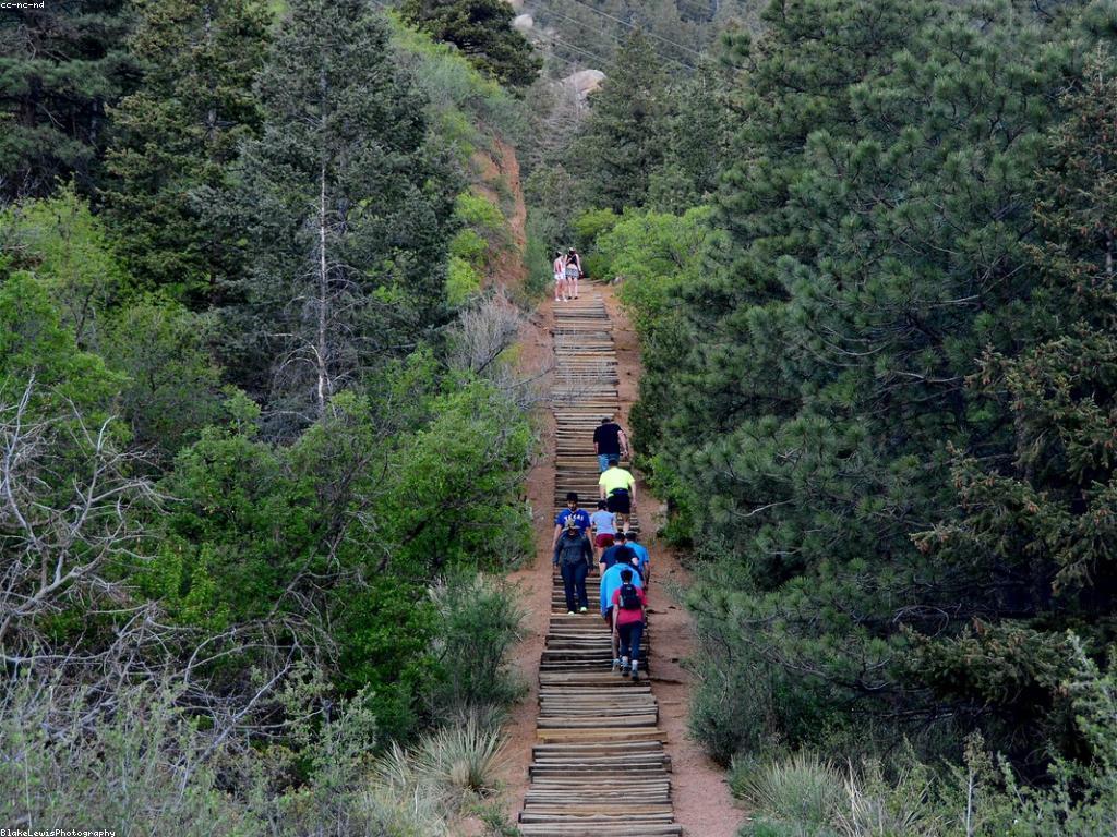 ការថែទាំឧបករណ៍បាញ់ត្រីដើម្បីអត្រាការប្រើប្រាស់