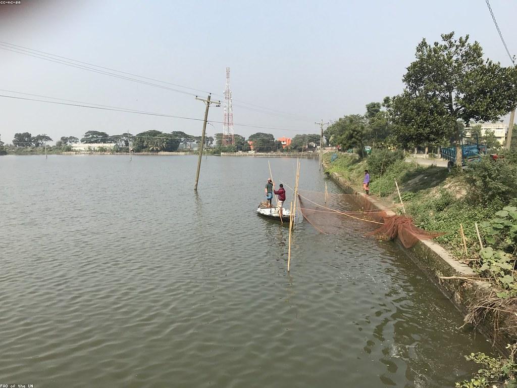 ការប្រើប្រាស់ឧបករណ៍បាញ់ត្រីយ៉ាងមានប្រសិទ្ធភាព