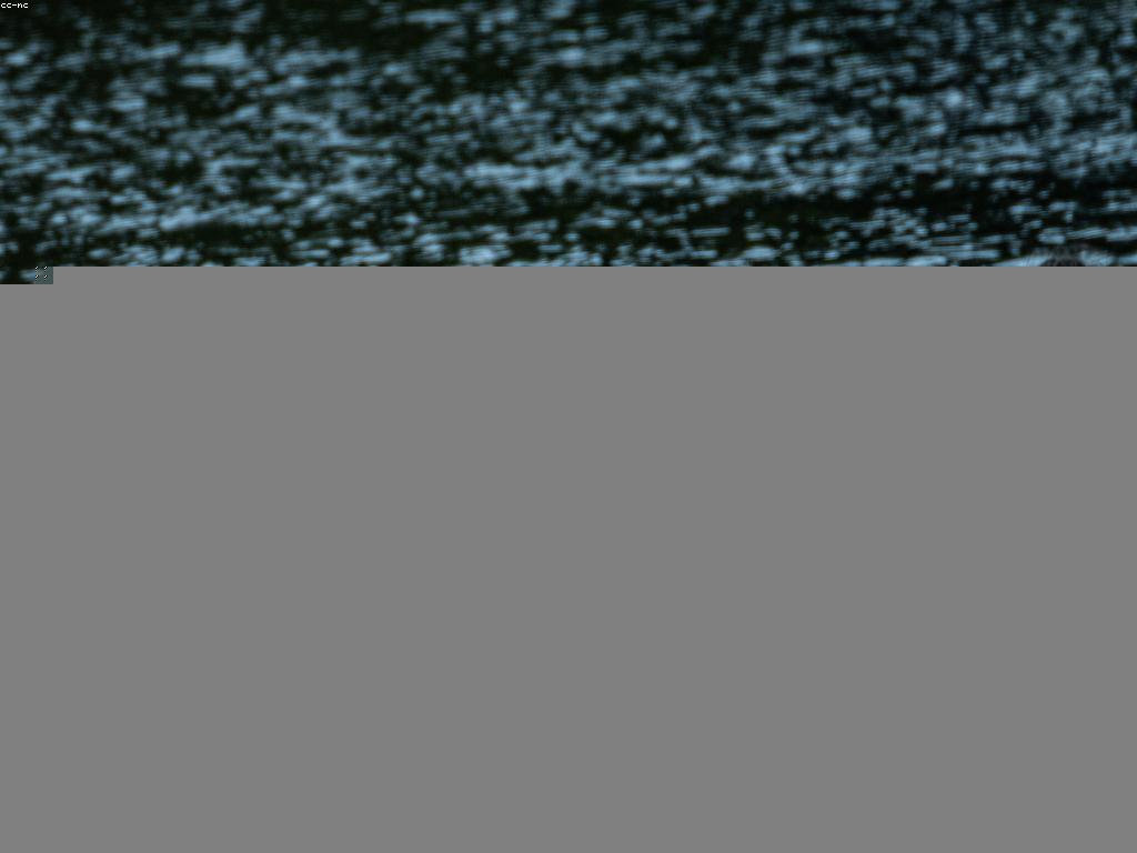 នីតិវិធីនិងគន្លឹះសម្រាប់ការប្រើប្រាស់បាញ់ត្រី