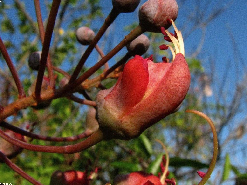 ការជ្រើសរើសឧបករណ៍សម្រាប់ការបាញ់ត្រី