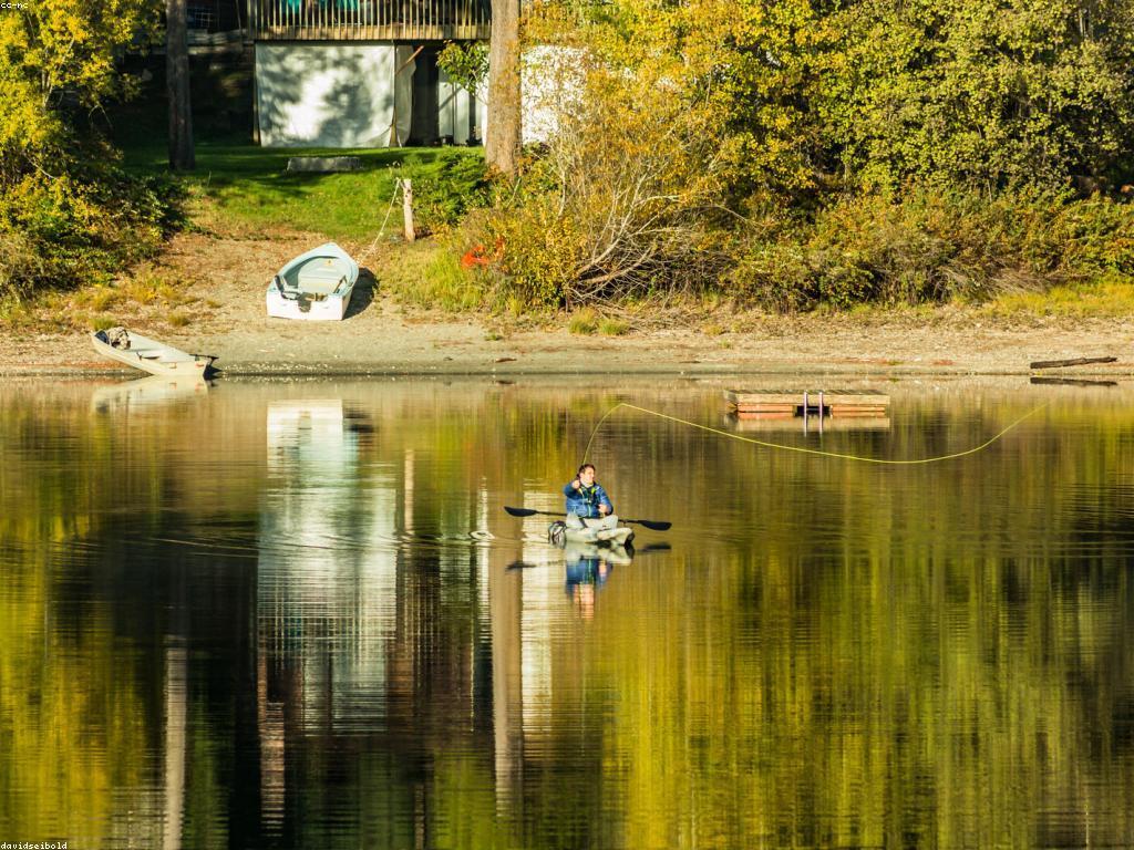 យល់ដឹងអំពីវិធីសាស្រ្តការបាញ់ត្រី