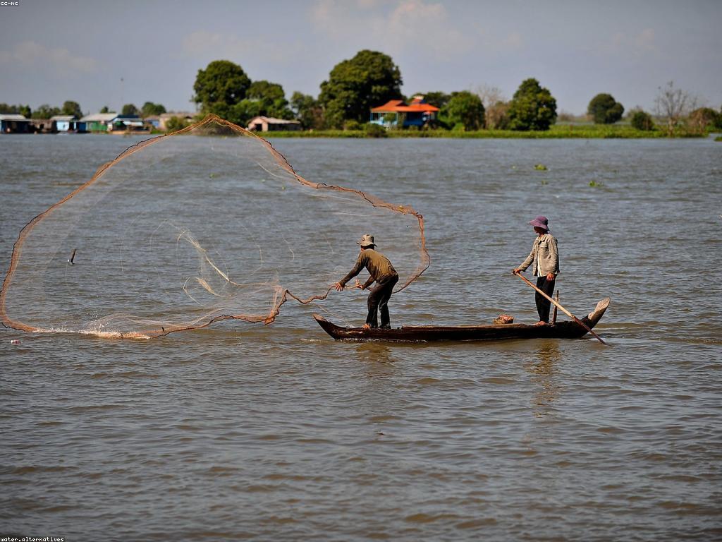 បច្ចេកទេសកម្រិតខ្ពស់សម្រាប់ការប្រើប្រាស់បាញ់ត្រី