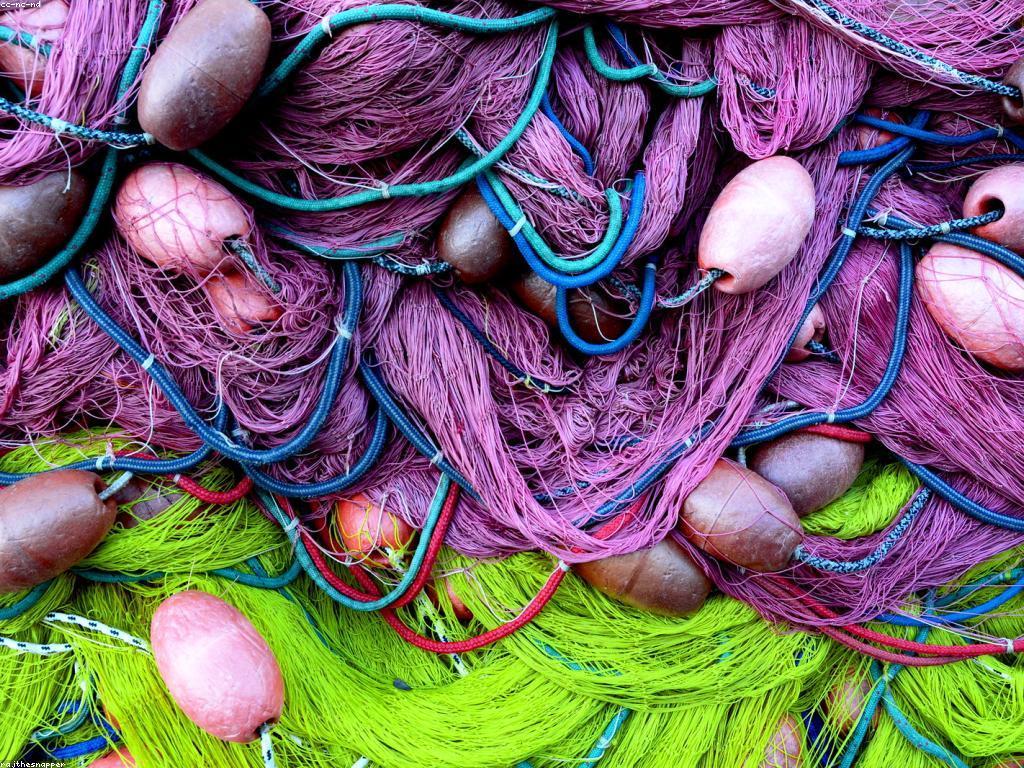 យល់ដឹងអំពីវិធីសាស្រ្តការបាញ់ត្រី