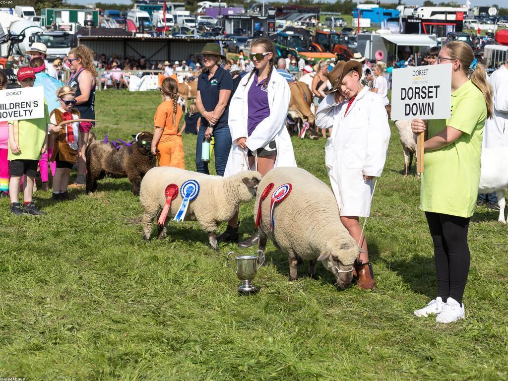 អ្នកឈ្នះនិងរង្វាន់: ការទទួលបាននូវភាពជោគជ័យ