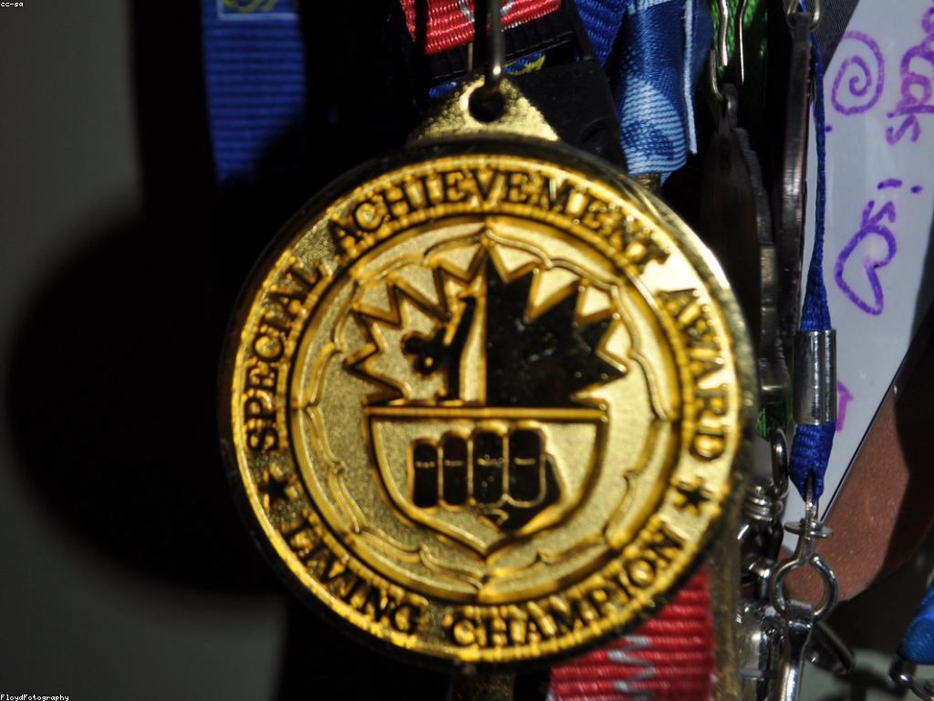 ការសម្រេចបាននូវភាពជោគជ័យក្នុងការប្រកួត