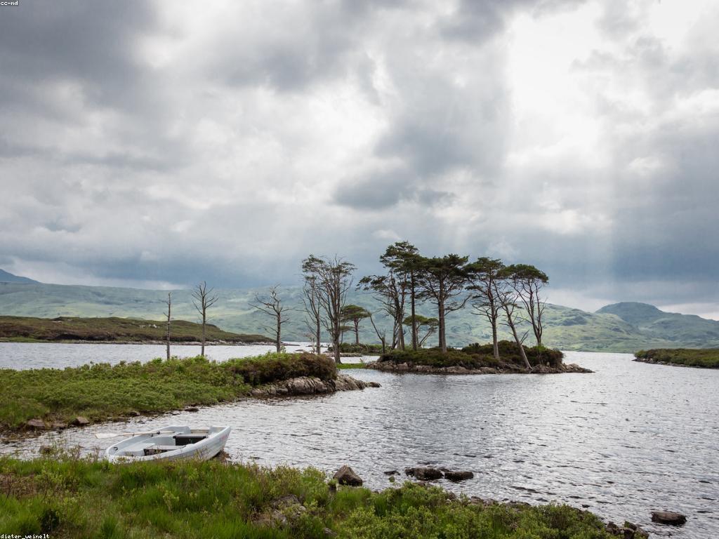 យល់ដឹងអំពីបច្ចេកទេសការបាញ់ត្រី