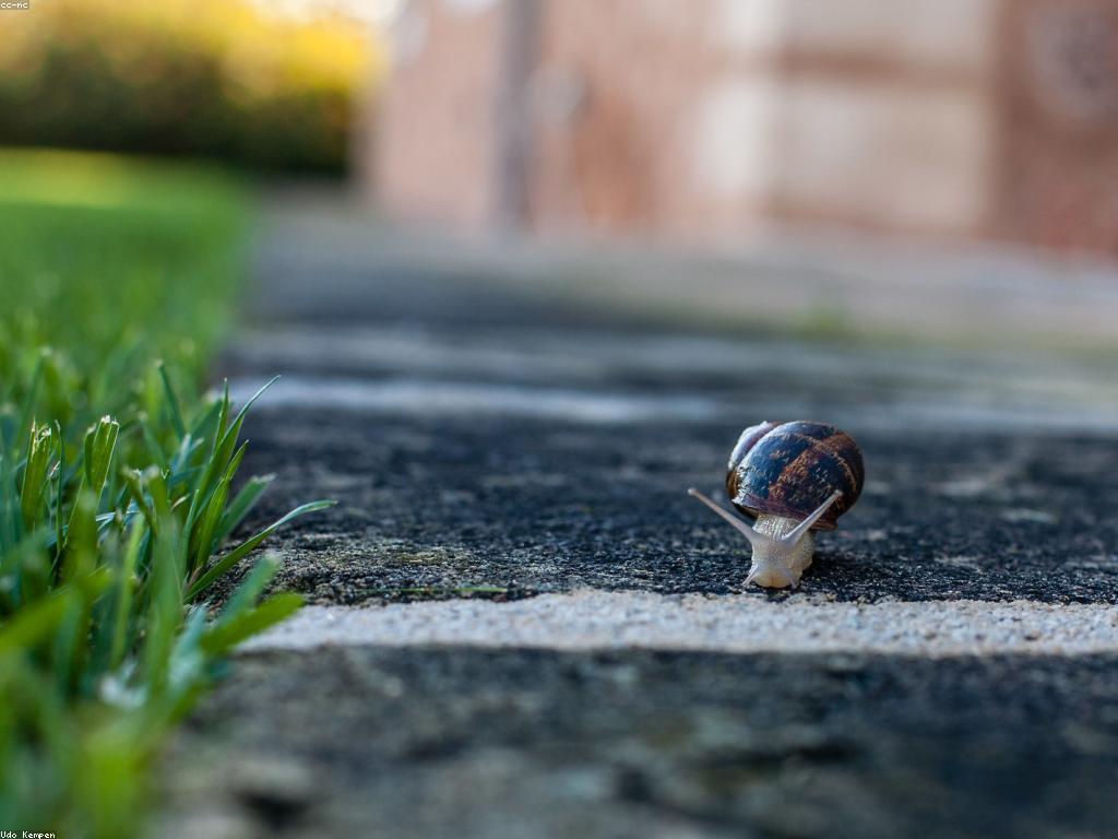 ការសម្រេចបាននូវភាពជោគជ័យនិងរង្វាន់